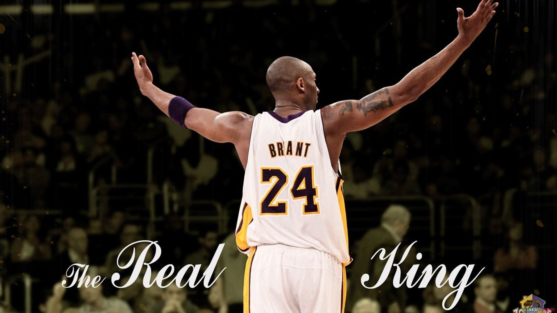 世界青少年赛车体验营在上海火热开启，青少年赛车学校